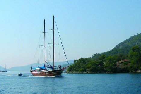 Caicchi in Turchia