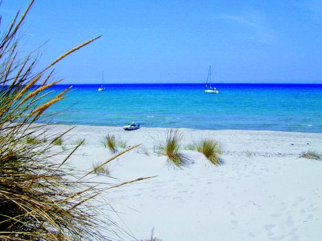 Sardegna