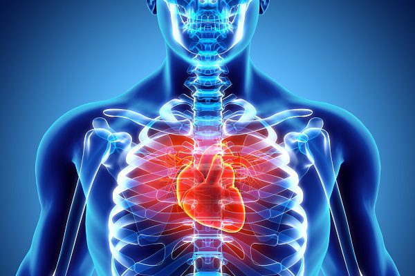 Le malattie cardiache