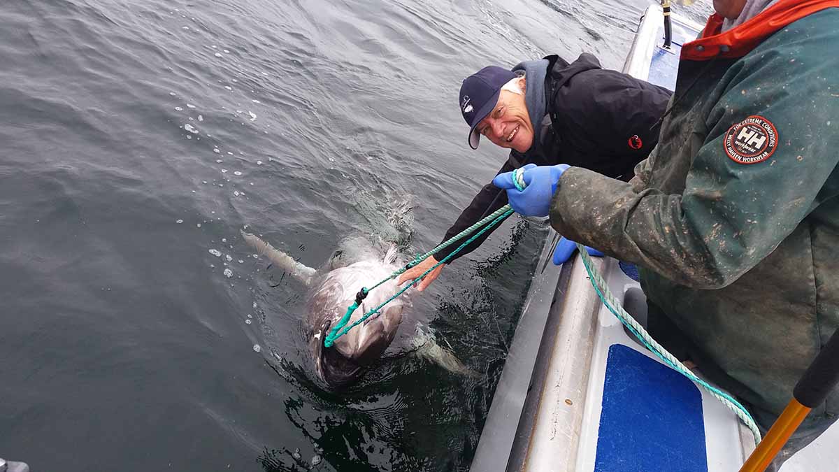 Vertical jigging