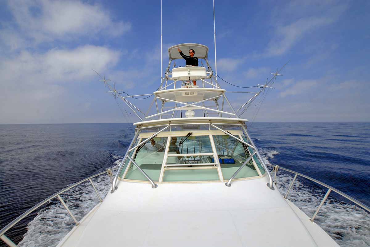 pesca