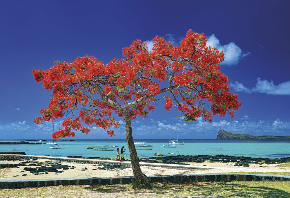 Isola di Mauritius