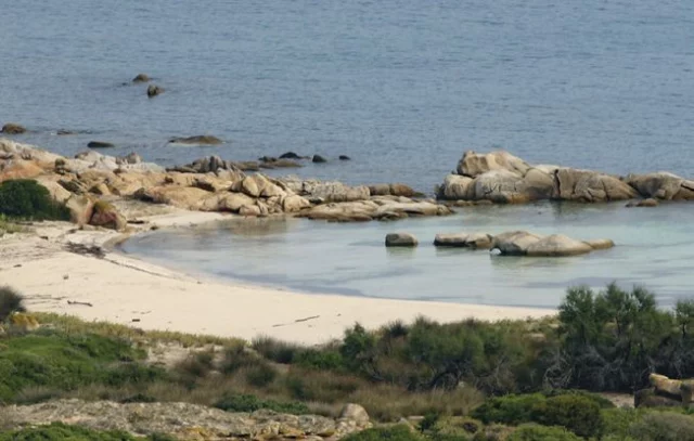 Asinara