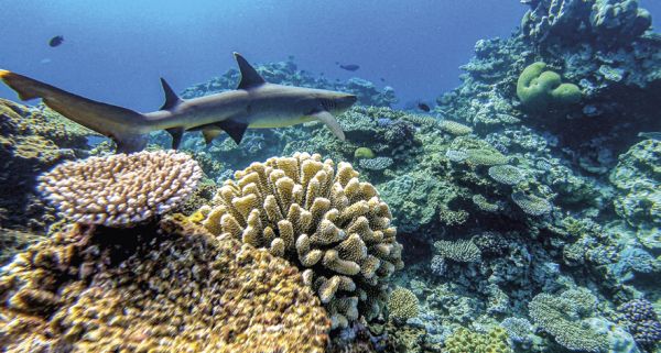 Il mare delle Isole della Lealtà