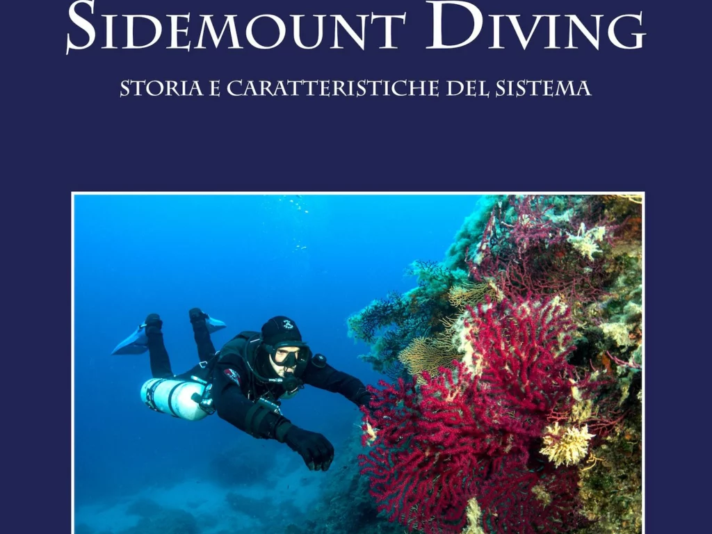 Sidemount