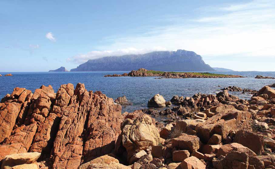 Capo Ceraso