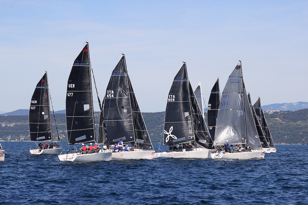 Barcolana 53