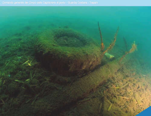 Tra illeciti e pressioni ambientali, il Mediterraneo sempre più “Mare Monstrum”