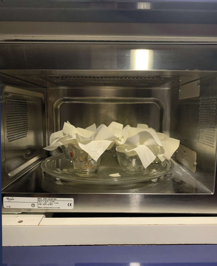 pasta-fillo-microonde
