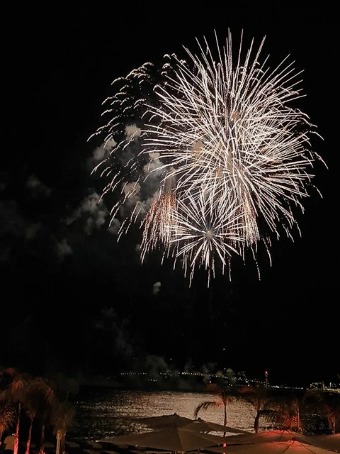 fuochi-artificio-web