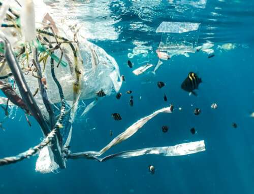 The Ocean Race e il pioniere dei materiali sostenibili Archwey insieme contro il problema della plastica nei mari