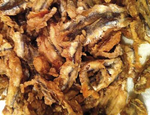 Carciofi e alicette fritte