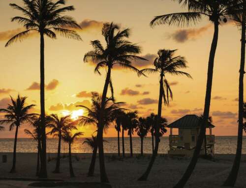 USA, Florida: Miami & Dintorni