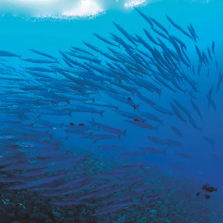 protezione mare