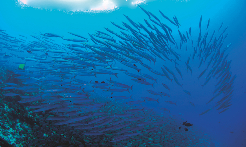 protezione mare