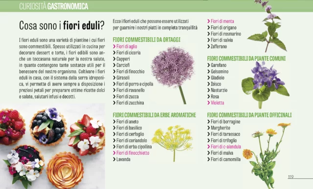 Cucinare-con-i-fiori