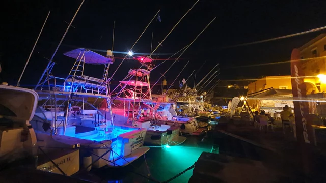 Porto Romano di notte BIG FISH 2022