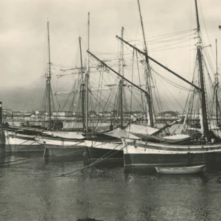 Navicelli