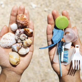 Concept of choice: save nature or use plastic