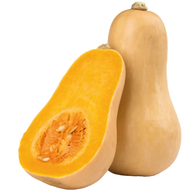 zucca-butternut-web