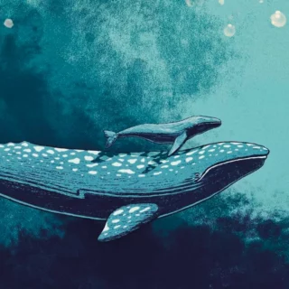 il canto delle balene