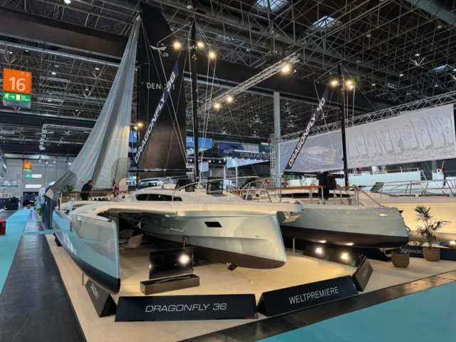 Dragonfly 36
