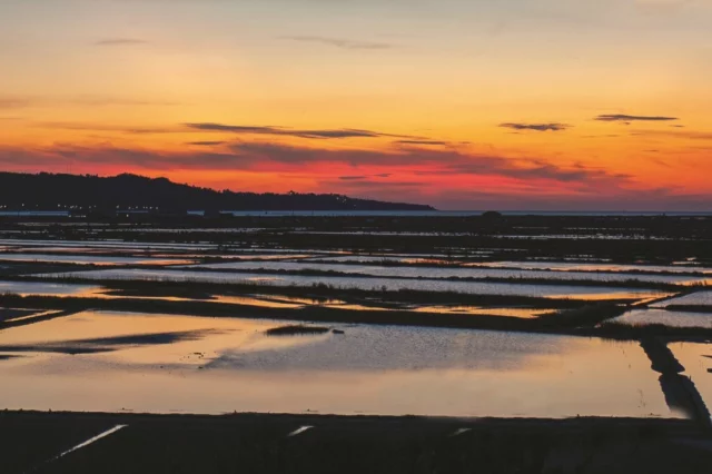 Le Saline