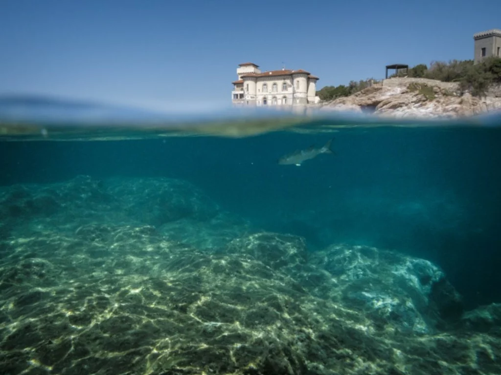 Dal 14 al 17 maggio 2025 Livorno ospita Blu Livorno, la prima Biennale del Mare e dell’Acqua sostenibile.