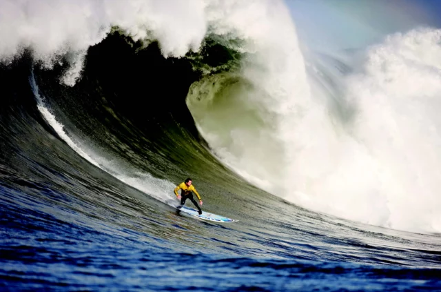 surf