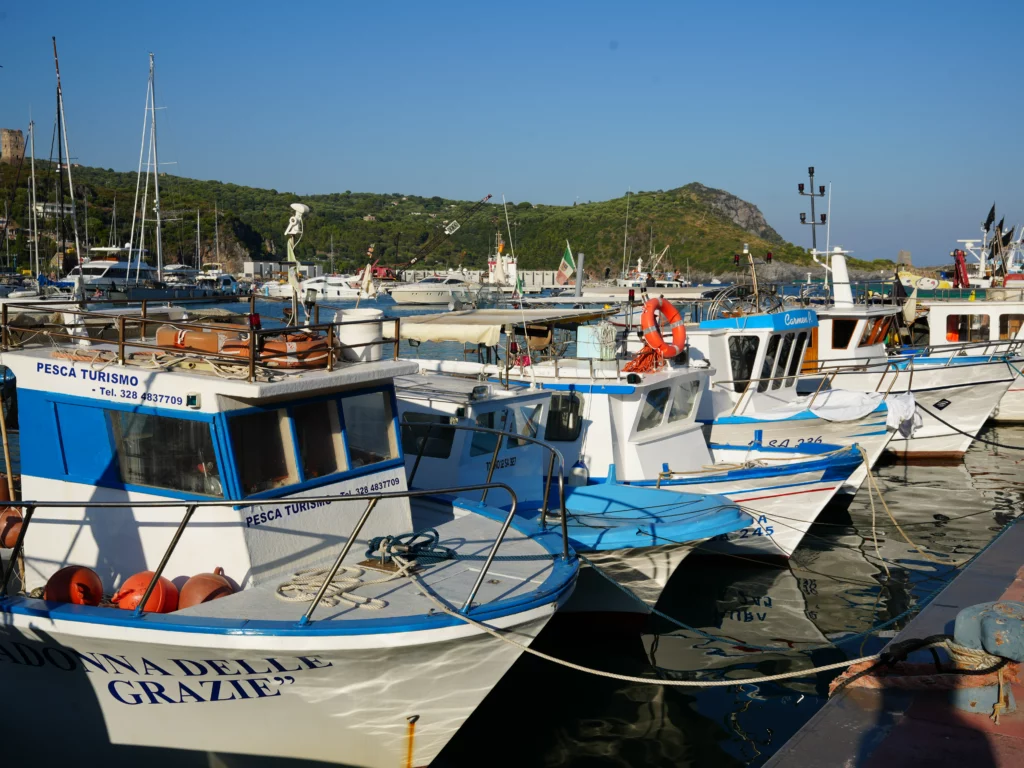 Il Canto delle Lampare: documentario sulla tradizione marinara di Marina di Camerota e la pesca sostenibile