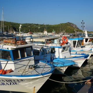 Il Canto delle Lampare: documentario sulla tradizione marinara di Marina di Camerota e la pesca sostenibile